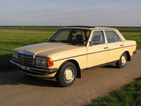 W123 weizengelb